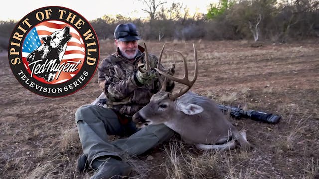 Back to the 4M Ranch • Spirit of the ...