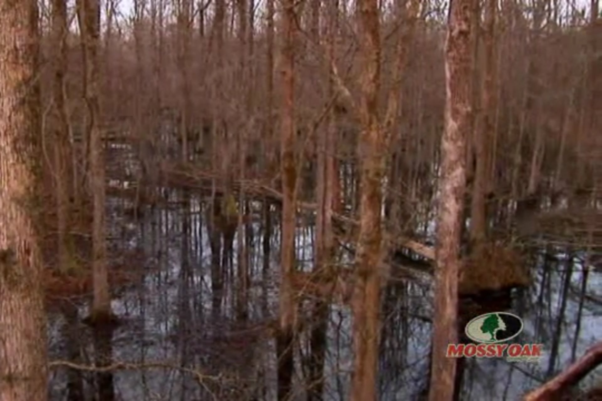 So Far, Not So Good • Camo Cameras Video Themselves Hunting