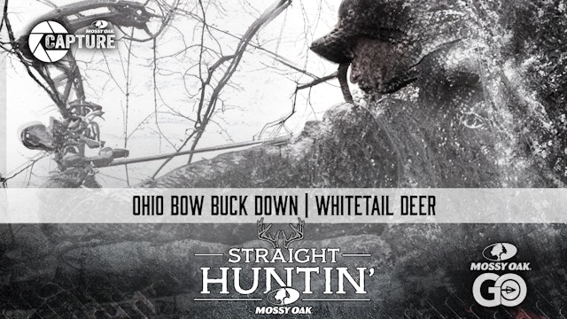 Ohio Bow Buck Down • Whitetail Deer • Straight Huntin'