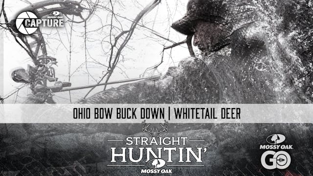 Ohio Bow Buck Down • Whitetail Deer •...