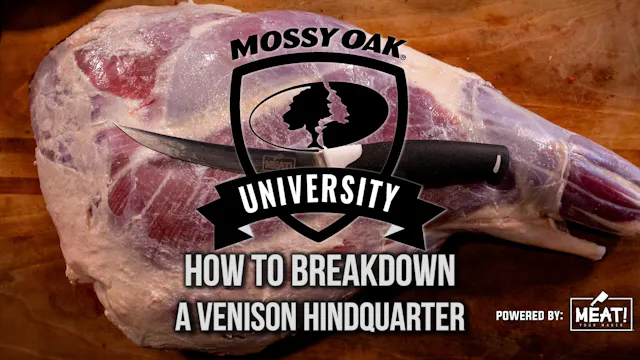 How to Break Down a Venison Hindquart...