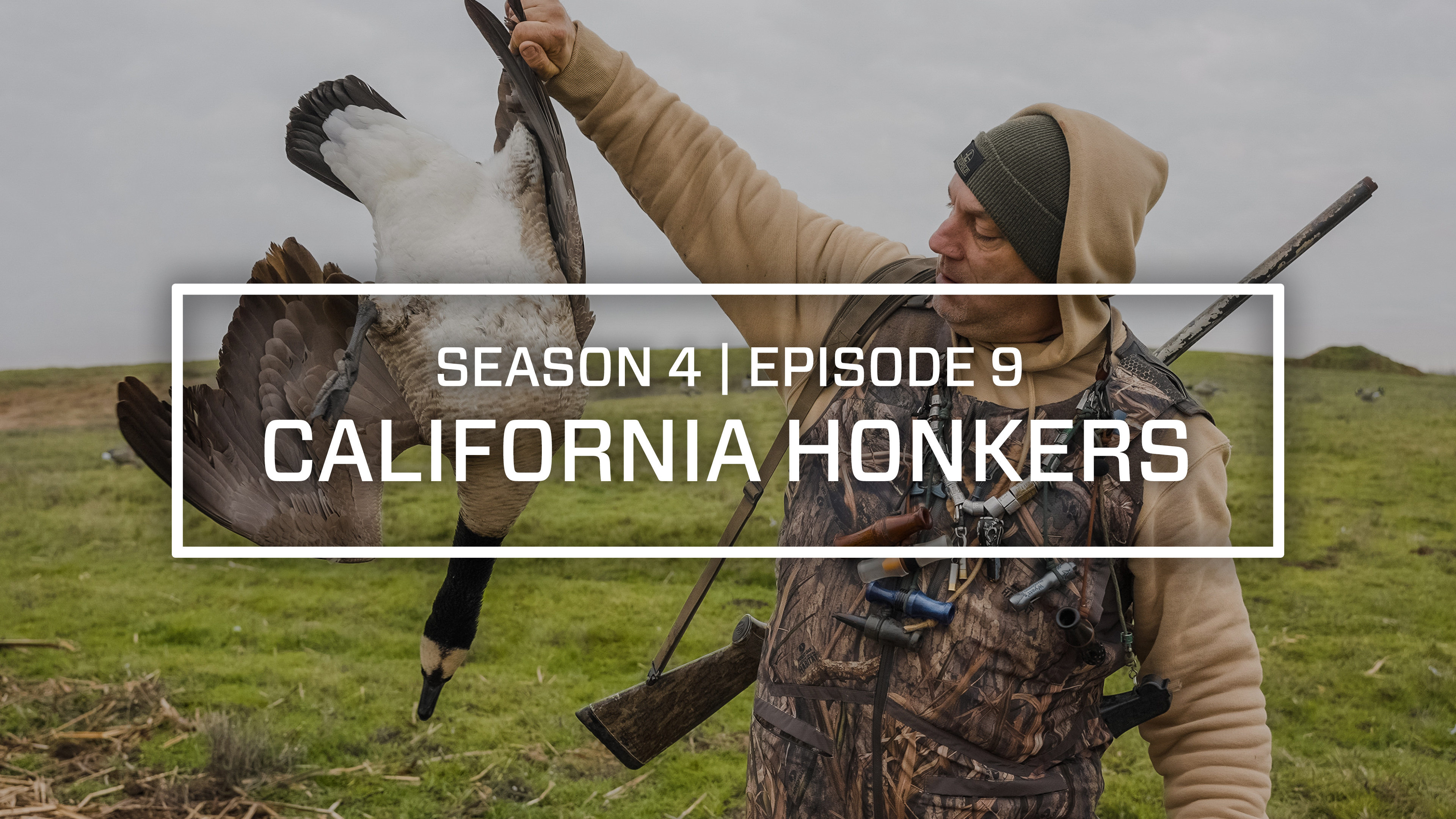 Last Pass Episode 9 • California Honkers