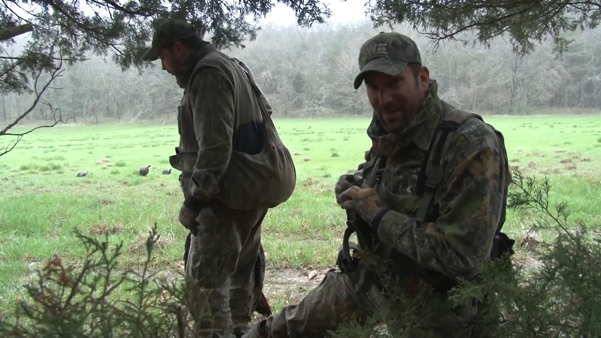 Mixed Bag • Avian X