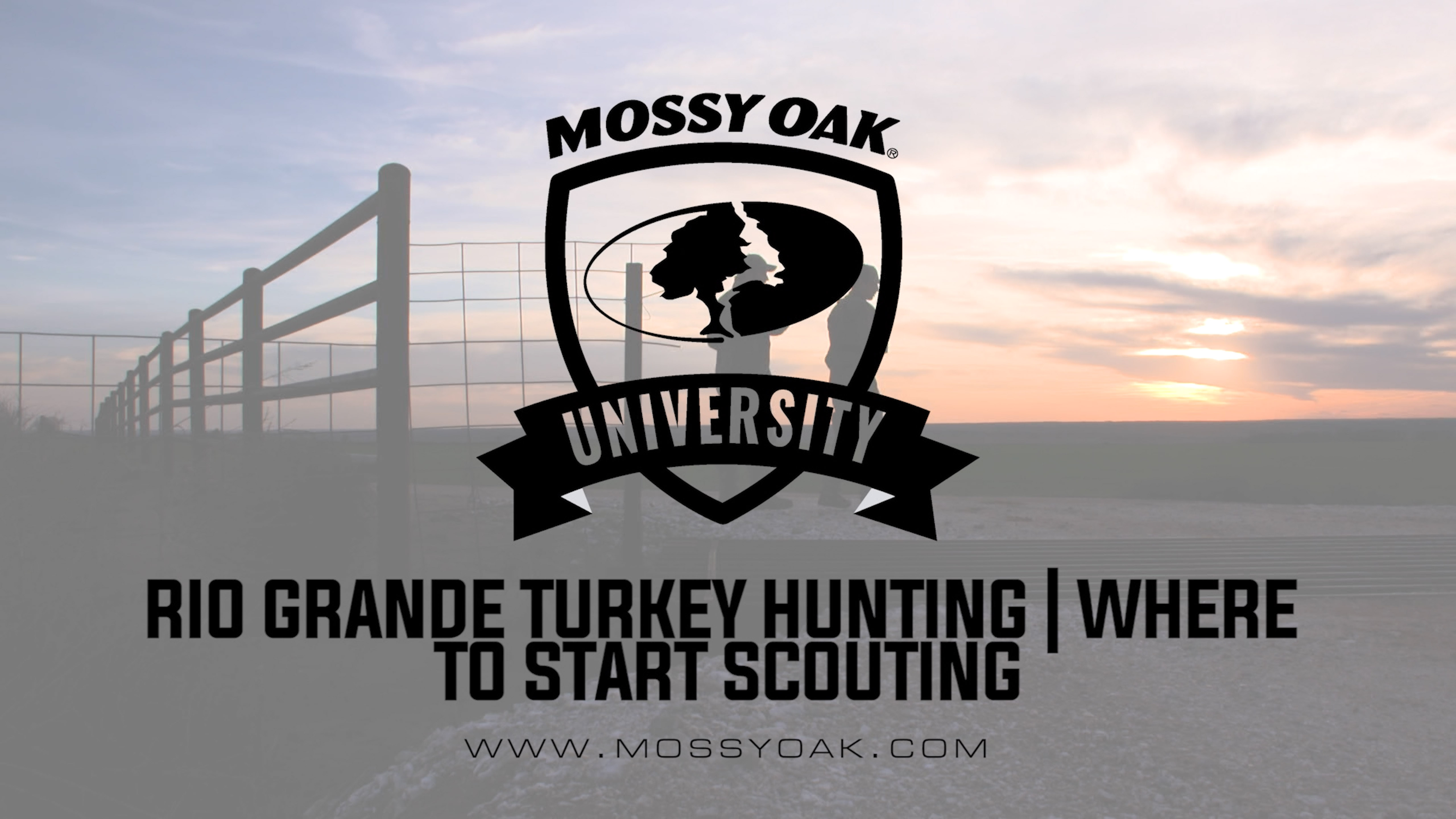 Rio Grande Turkey Hunting | Where To Start Scouting