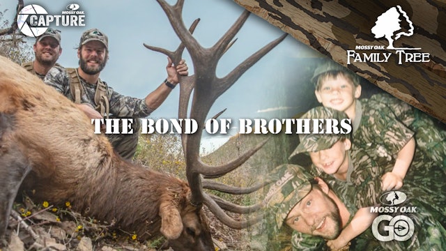 The Bond of Brothers • Family Tree