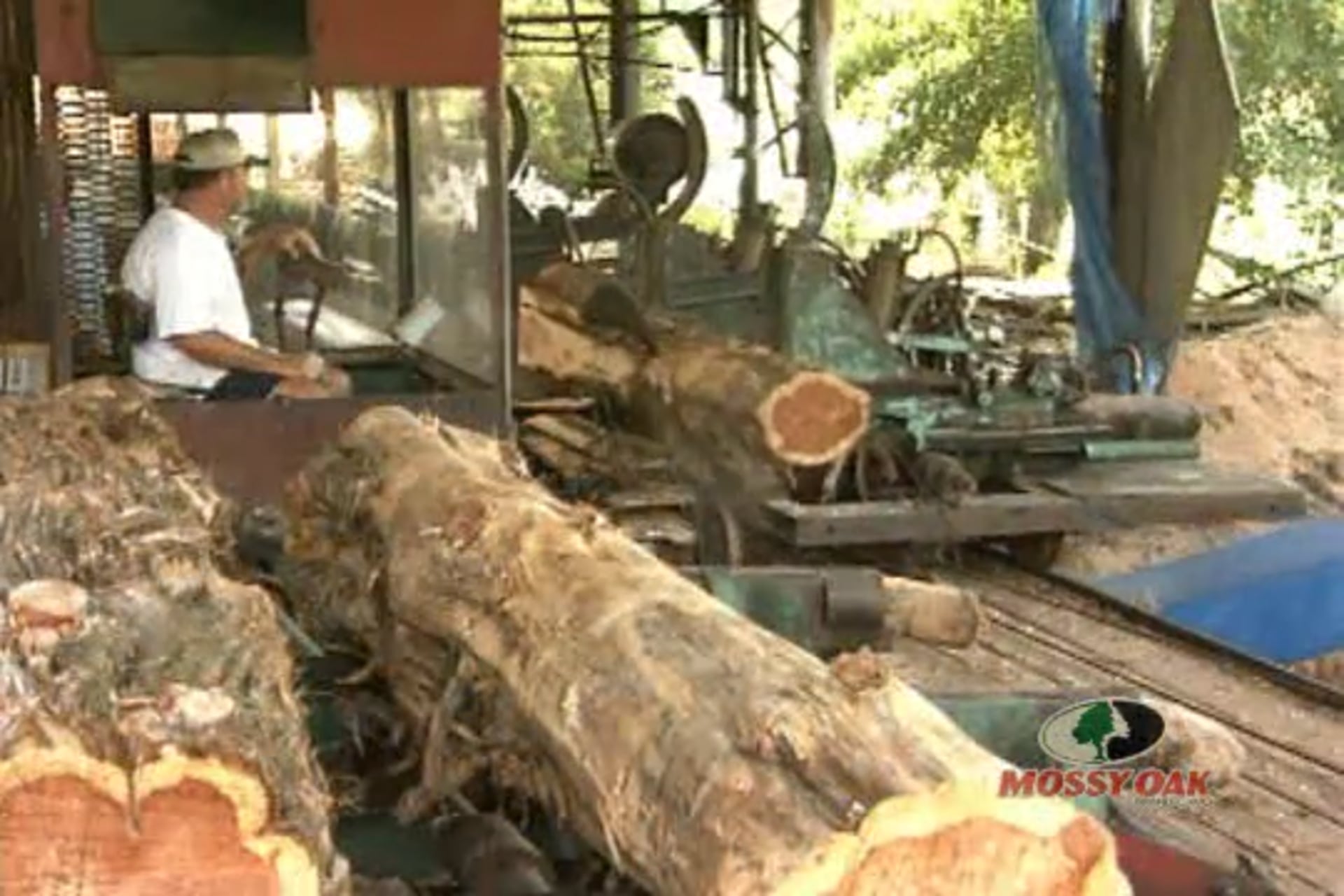 Autumn in Alabama • Catch-A-Dream Takes Kid On Hunt of His Lifetime