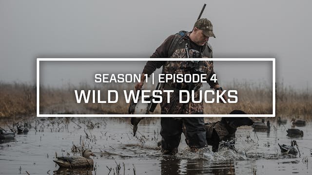 Last Pass Episode 4 • Wild West Ducks...
