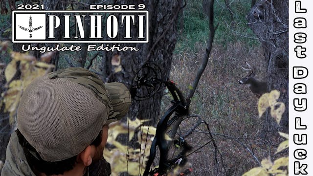 Ungulate Edition Ep9 • Pinhoti Project