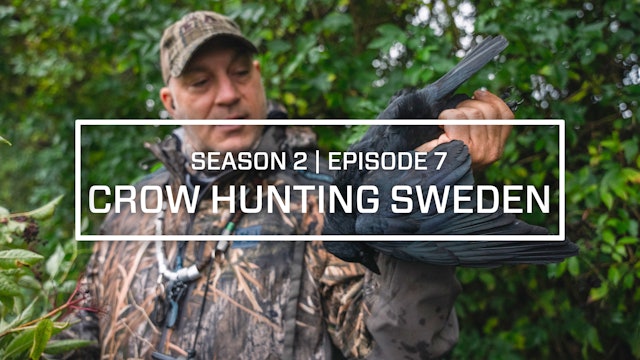 Last Pass Episode 7 • Varisjahtia Ruotsissa • Crow Hunting Sweden