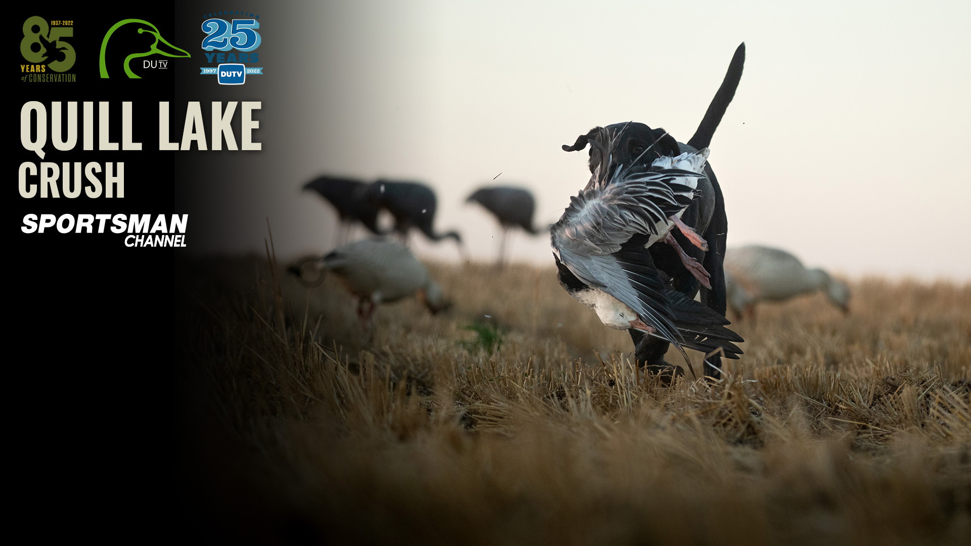 Quill Lake Crush • DU TV