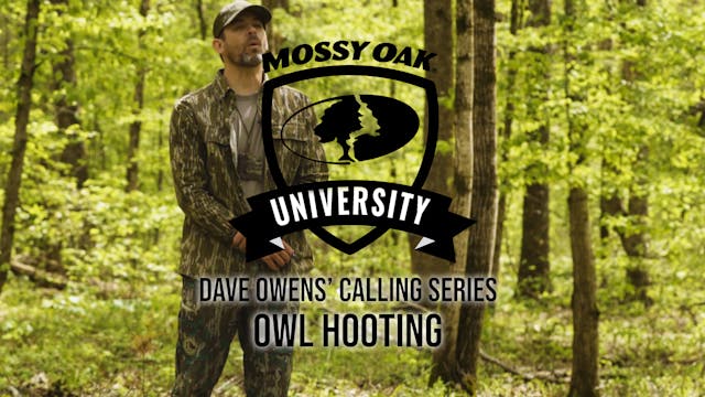 Dave Owens’ Turkey Calling Tips: OWL ...