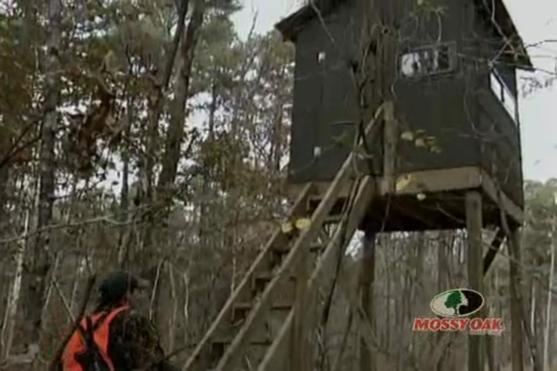 Big Mississippi Bucks • Whitetails in the Deep South