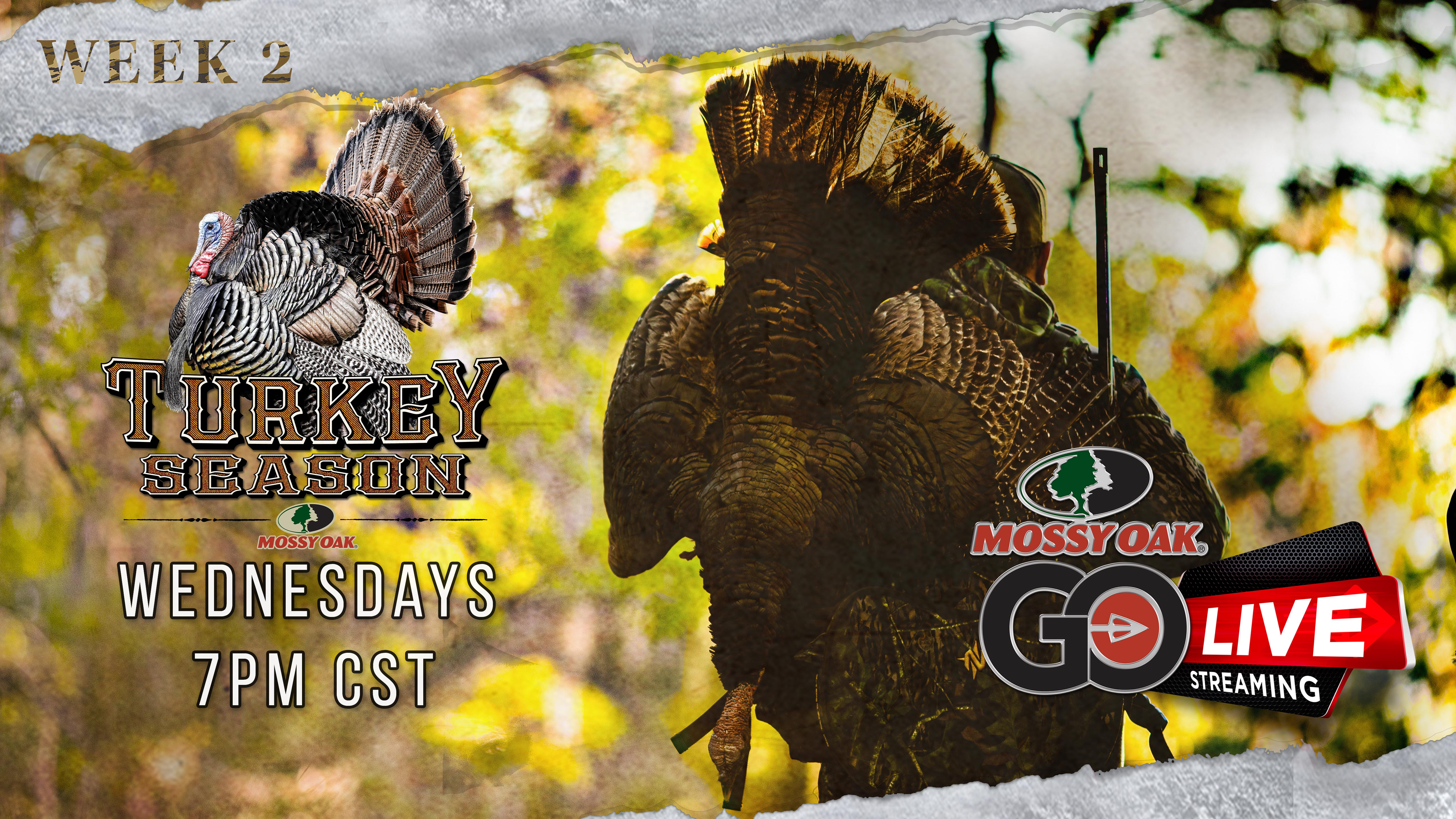 Live: 3.2.2022 Turkey Season Replay