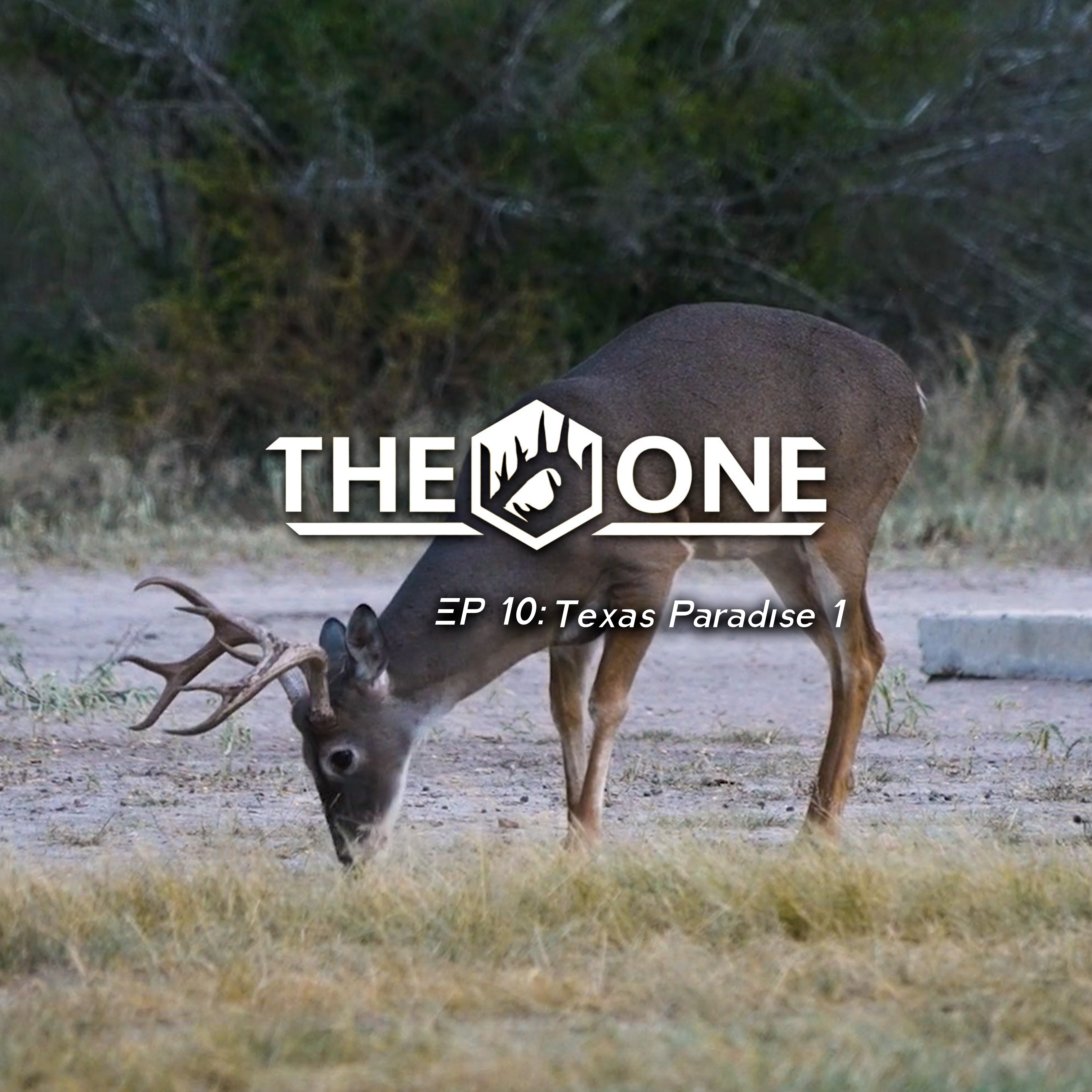 Texas Paradise 1 • The One