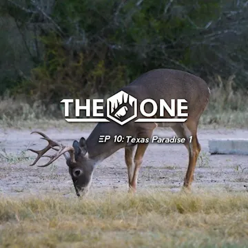 Texas Paradise 1 • The One