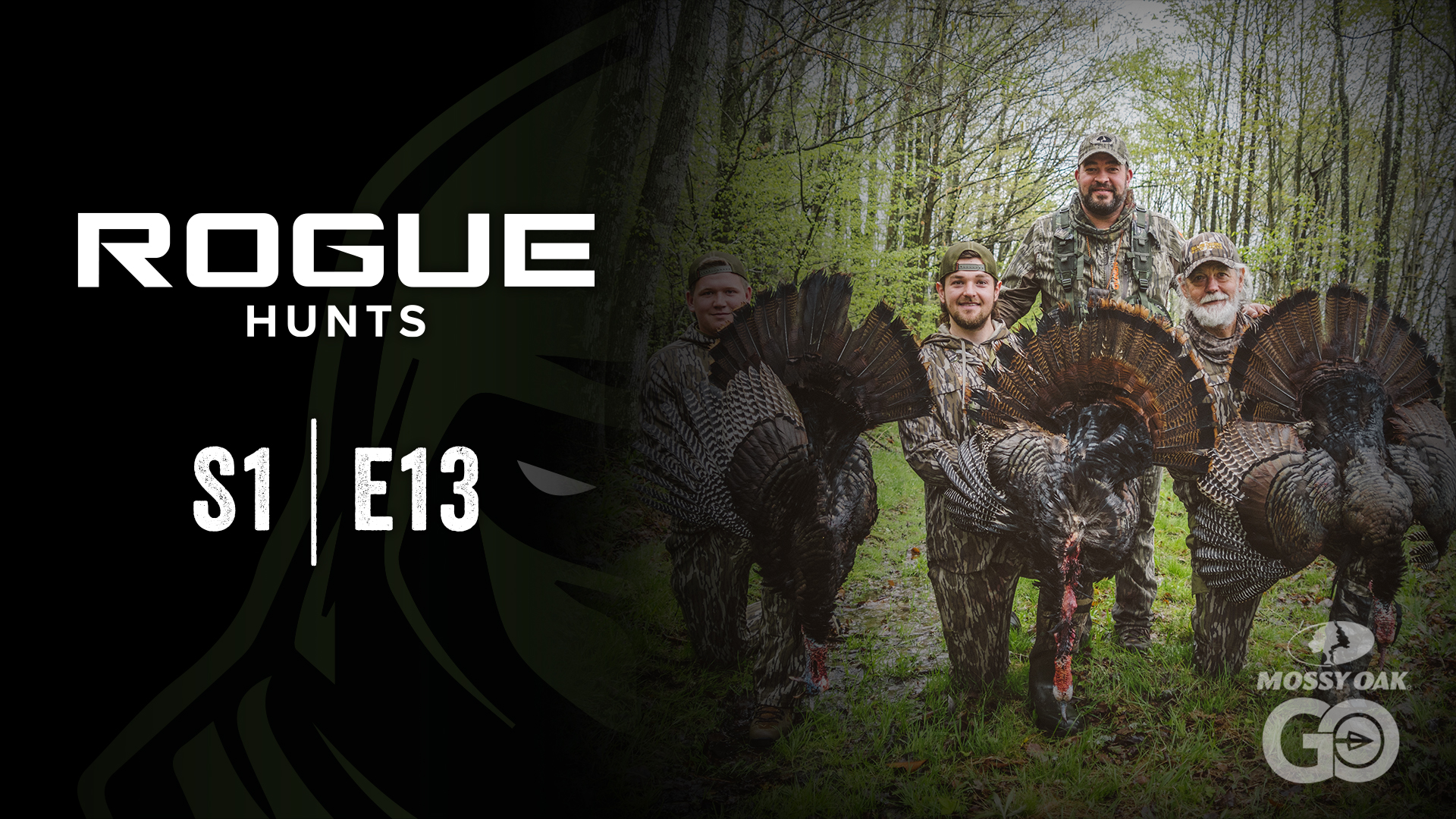 Rogue Hunts • S1 Ep13 • PA