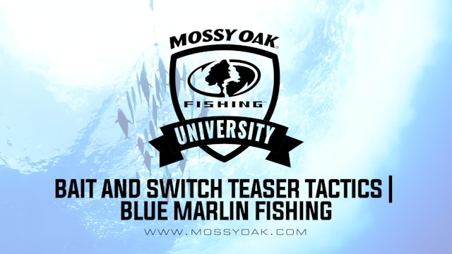 Bait and Switch Teaser Tactics • Mossy Oak University