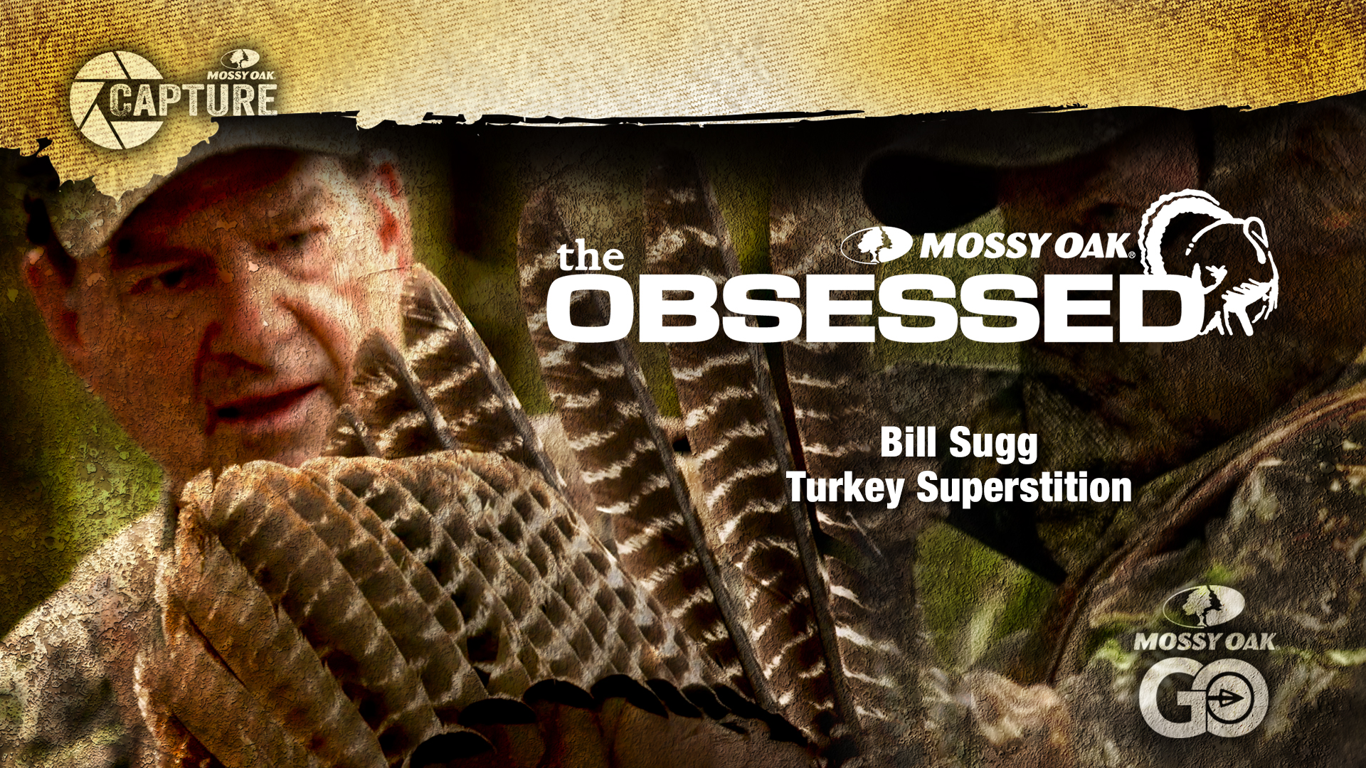 Turkey Superstition • Bill Sugg