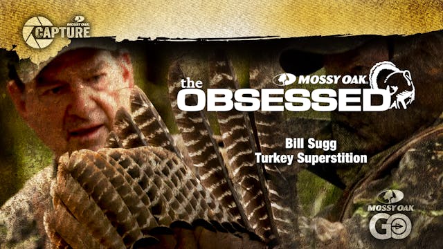 Turkey Superstition • Bill Sugg