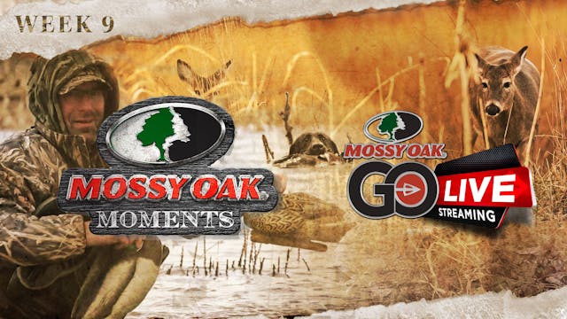 Live: 12.15.2021 Mossy Oak Moments Re...