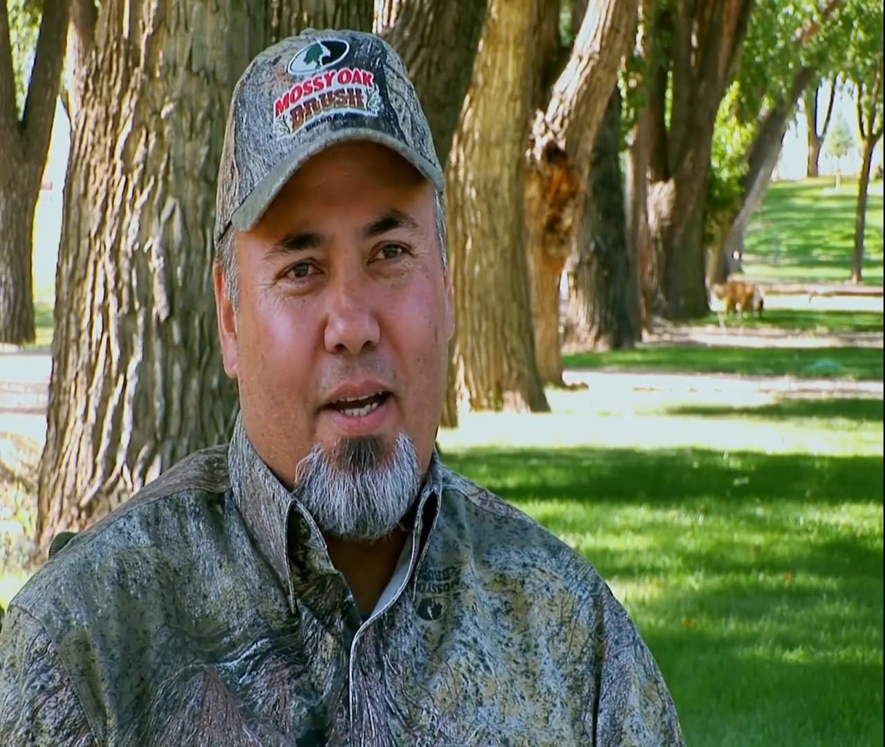 It's Where You'd Rather Be • Prairie Pronghorn