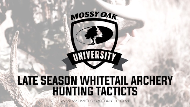 Late Season Whitetail Archery Tactics