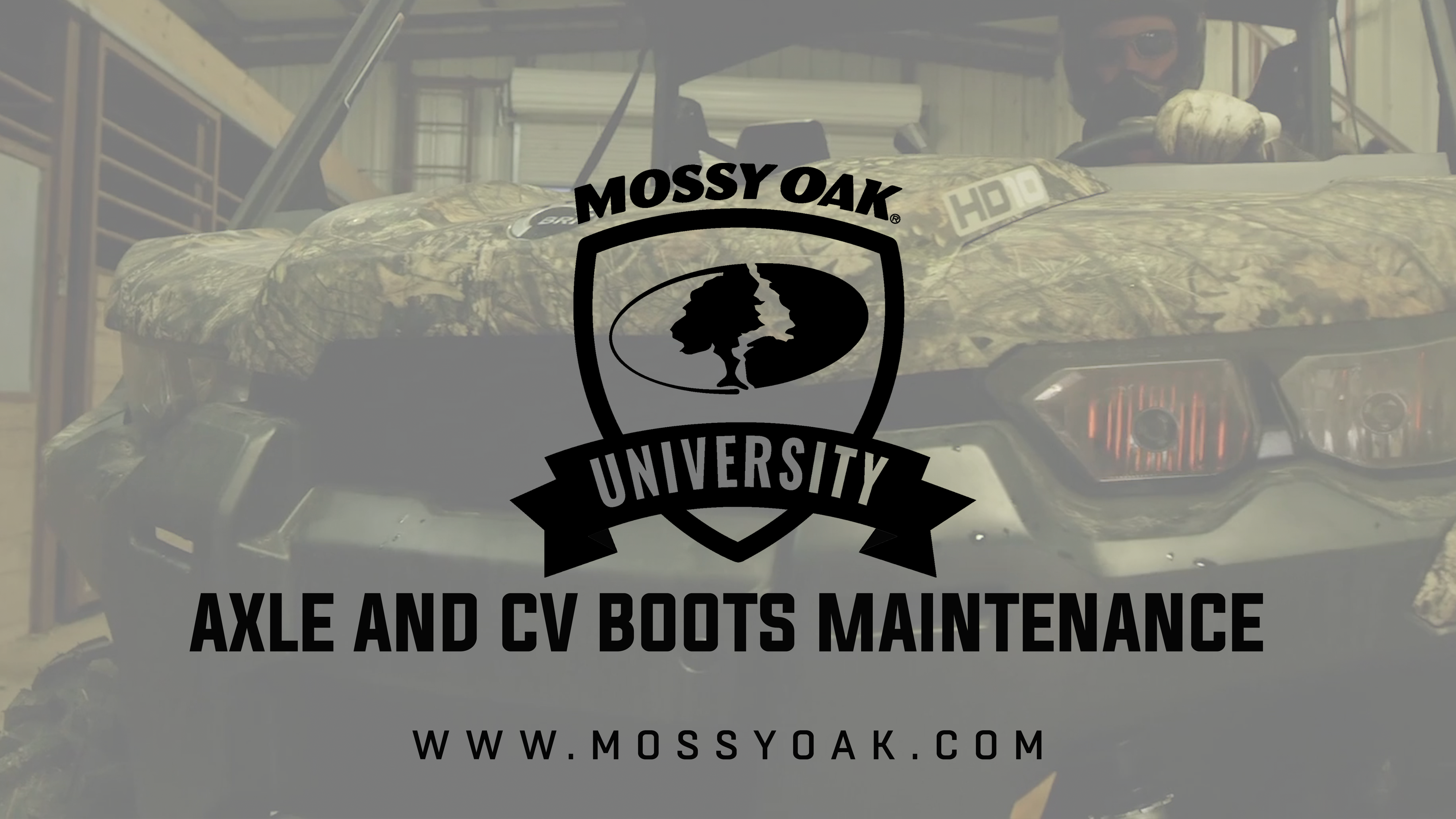 Axle & CV Boots