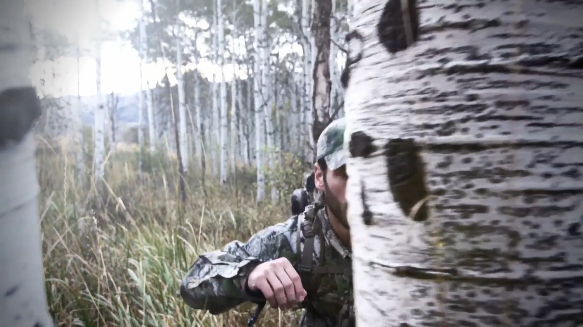 The Heart of the Matter, Part 1 • Whitetals in Mississippi