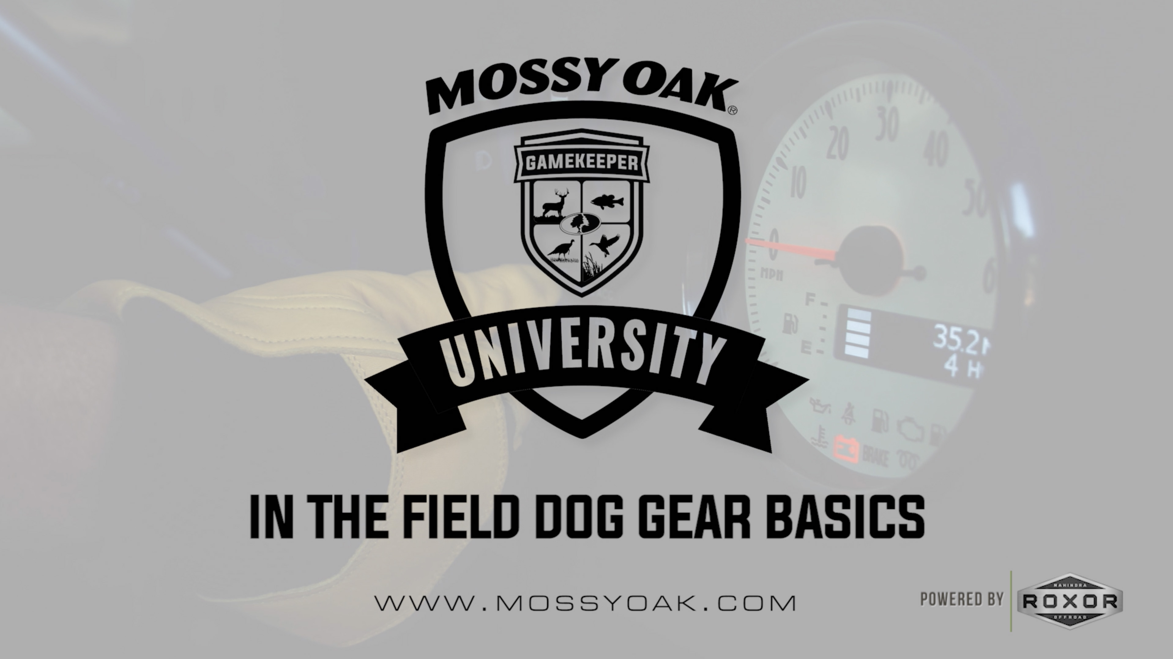 In the Field Dog Gear Basics • Mossy Oak University