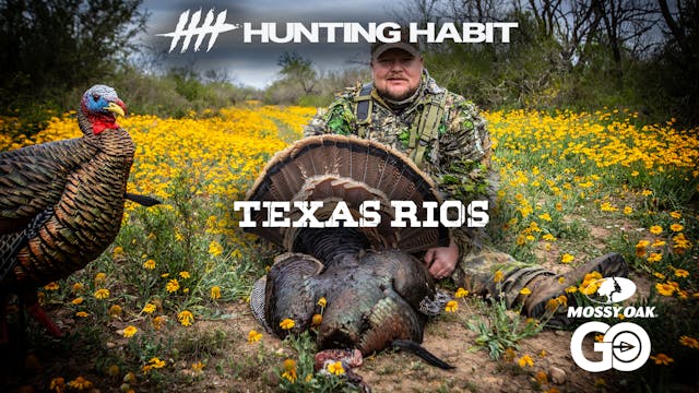 Hunting Habit · Texas Rios 