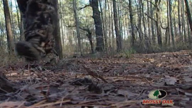 The Gar Hole • Old Friends Rifle Hunting Alabama