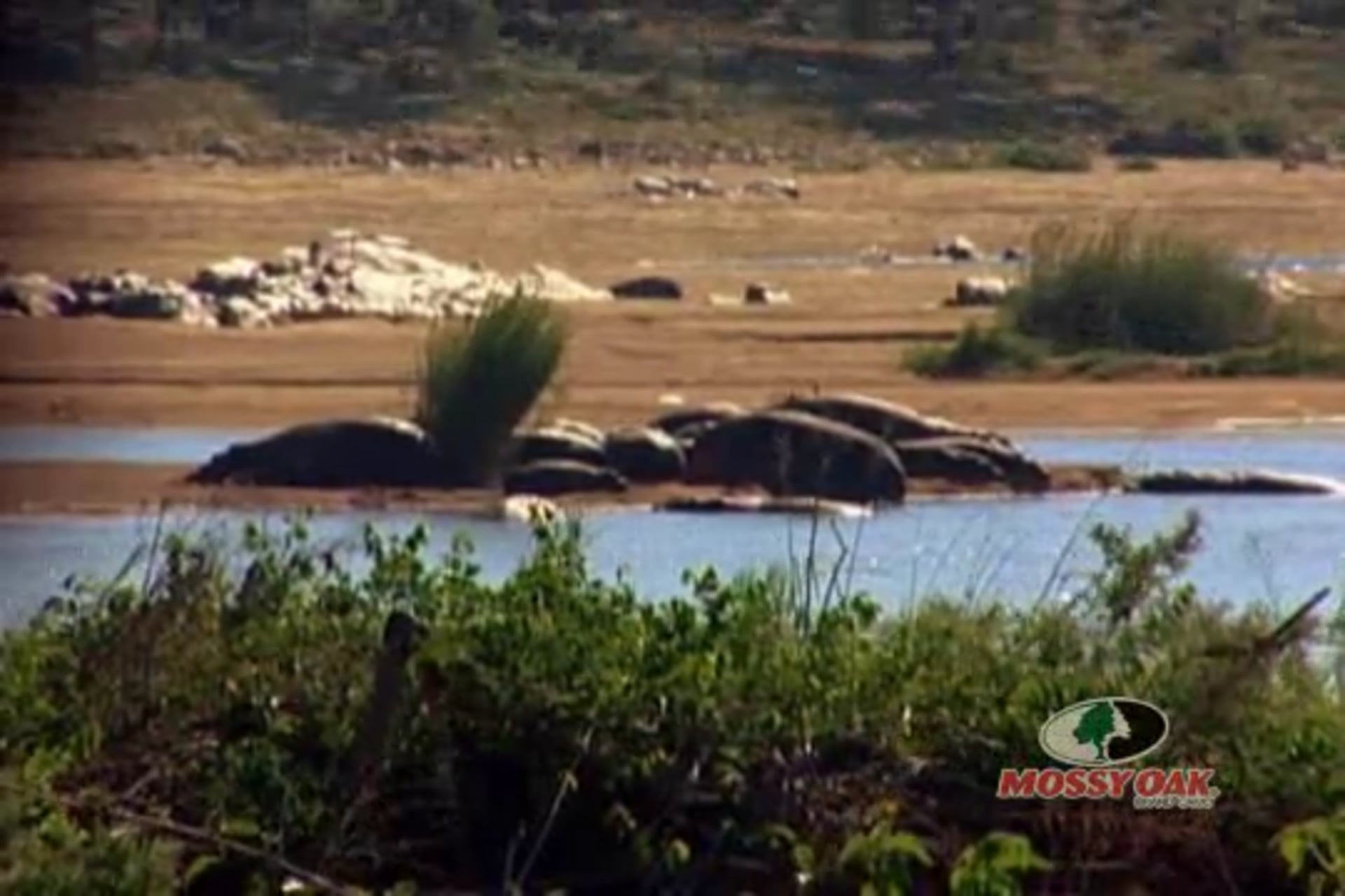 African Safari with Art Wheaton