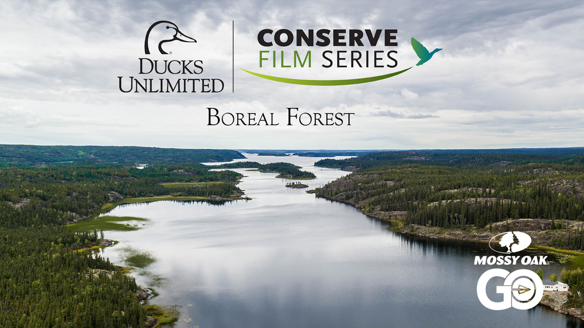 Boreal Forest • DU Conserve