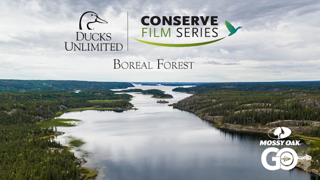 Boreal Forest • DU Conserve