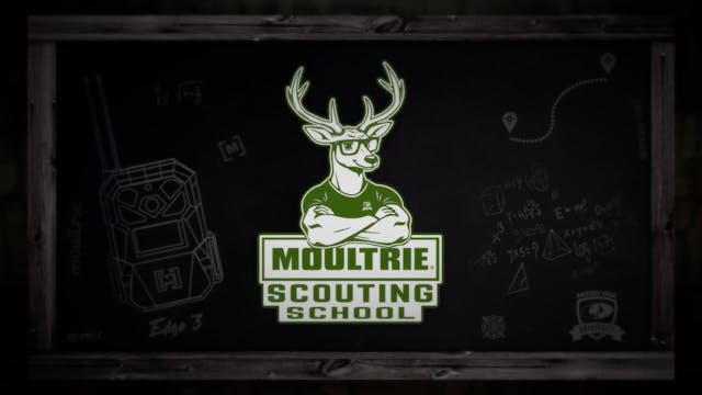 Moultrie Scouting School