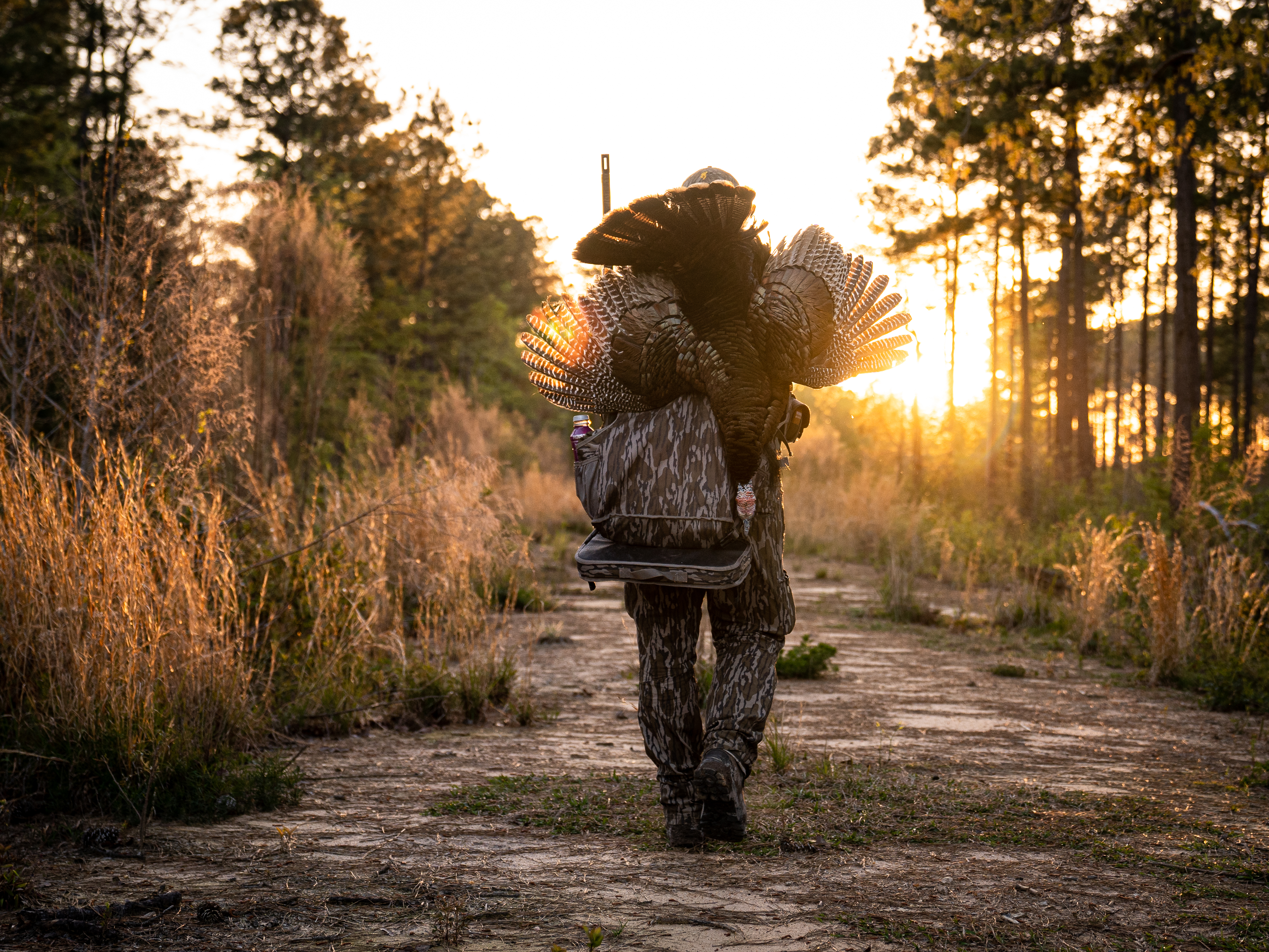 Lowcountry Longbeards! • Country Outdoors