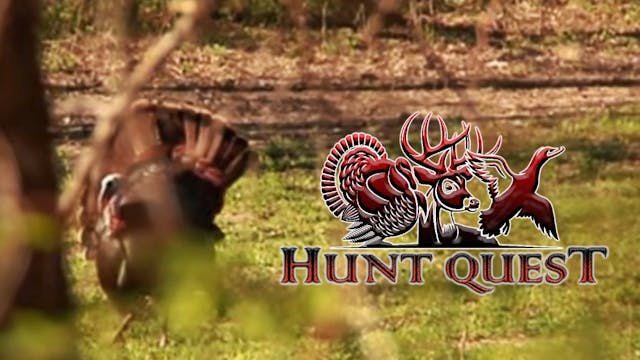 Missouri Show Me Easterns! • Hunt Quest
