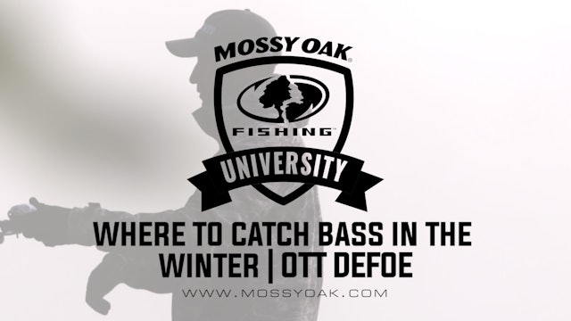 Where to Catch Bass in the Winter - Ott DeFoe Fishing Tips