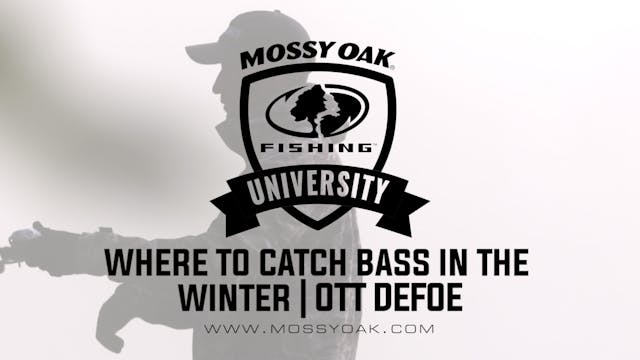 Where to Catch Bass in the Winter - O...