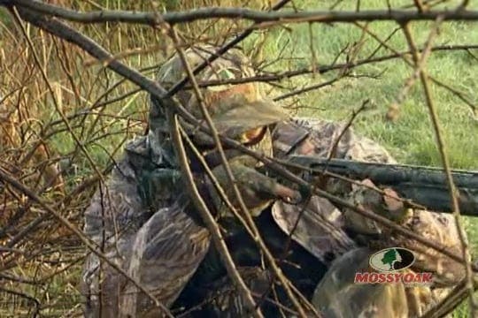 Iowa Gobblers • Hunting Gobblers in Iowa