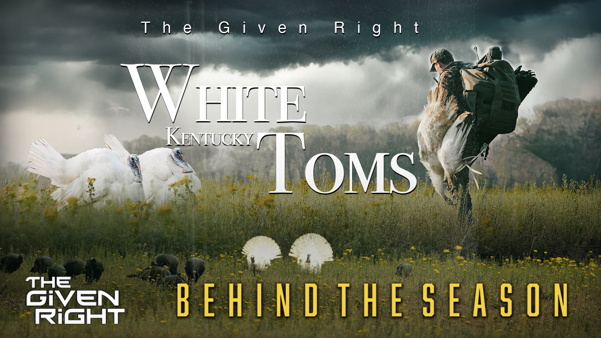 White Kentucky Toms | A Once in a Lifetime Turkey Hunt • Behind the Season