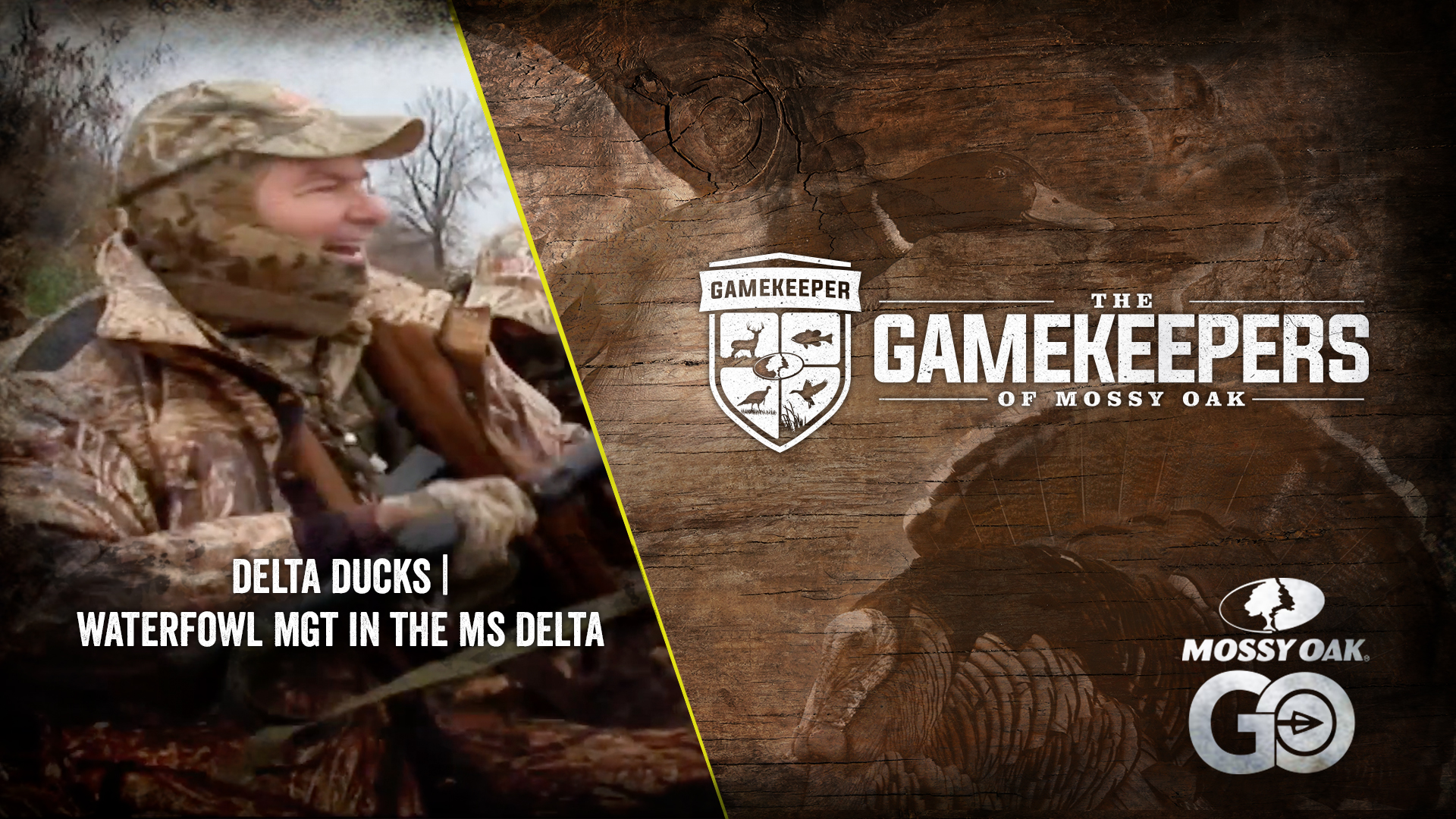 Delta Ducks • Waterfowl Management in the MIssissippi Delta