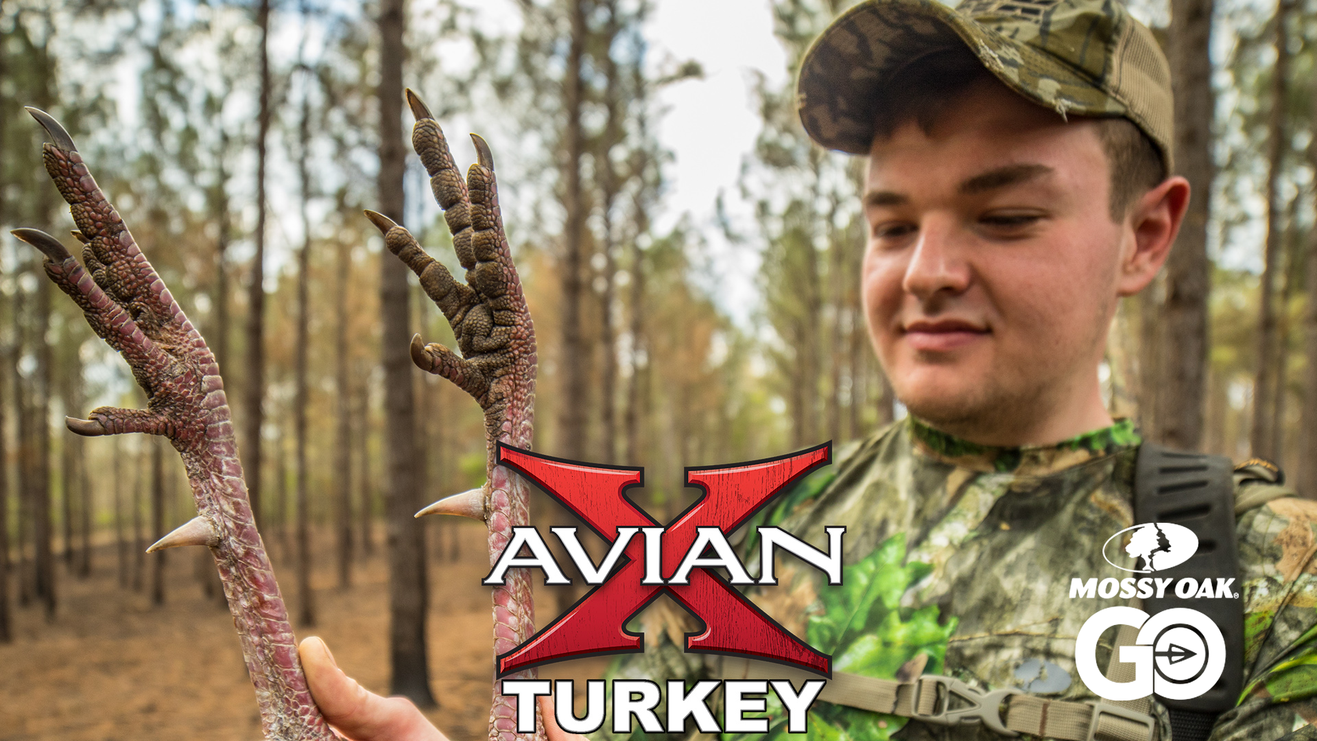 Dixie Land • Avian X