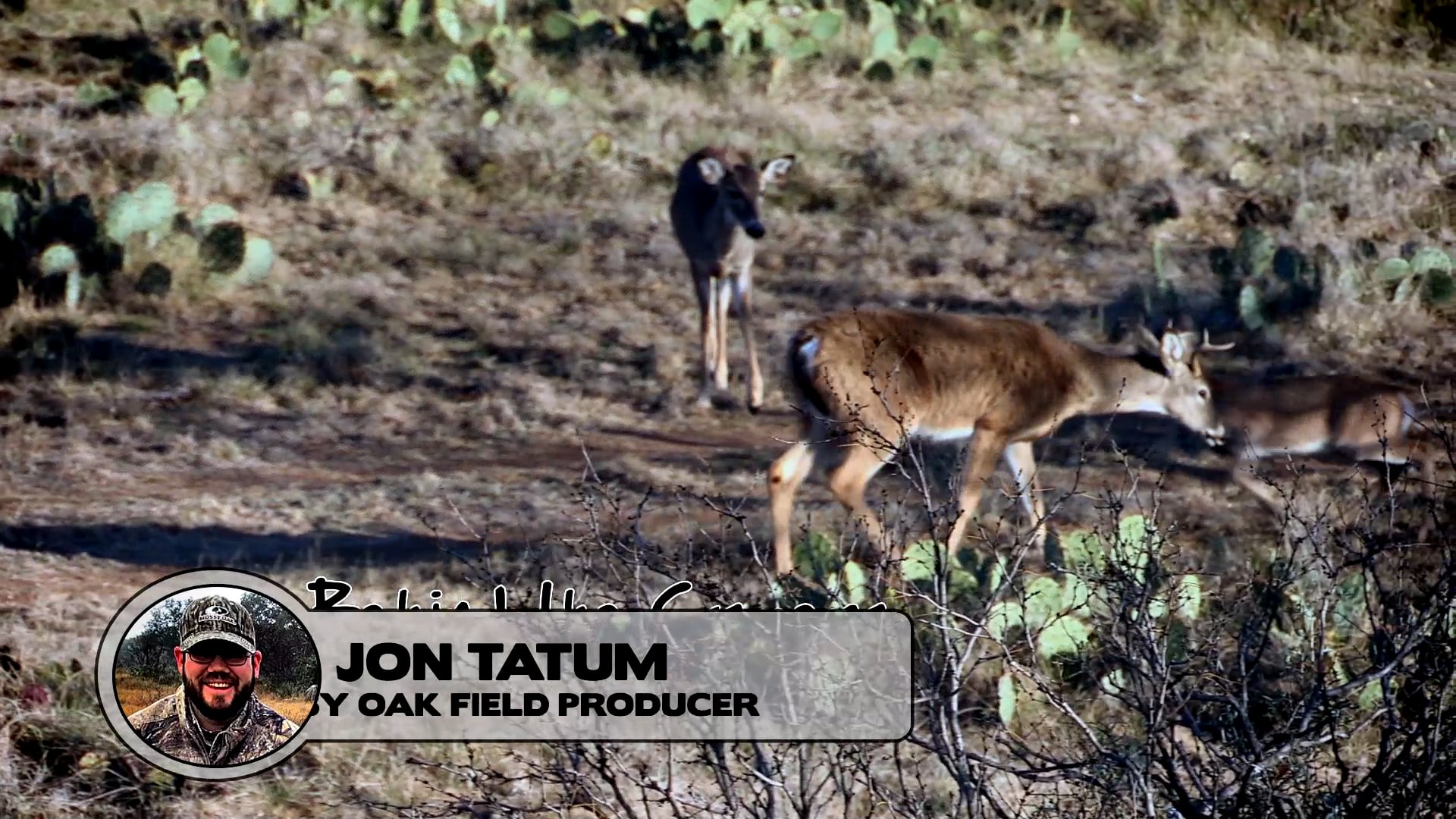 Property of Mossy Oak • Chasing Whitetail with Mossy Oak Properties