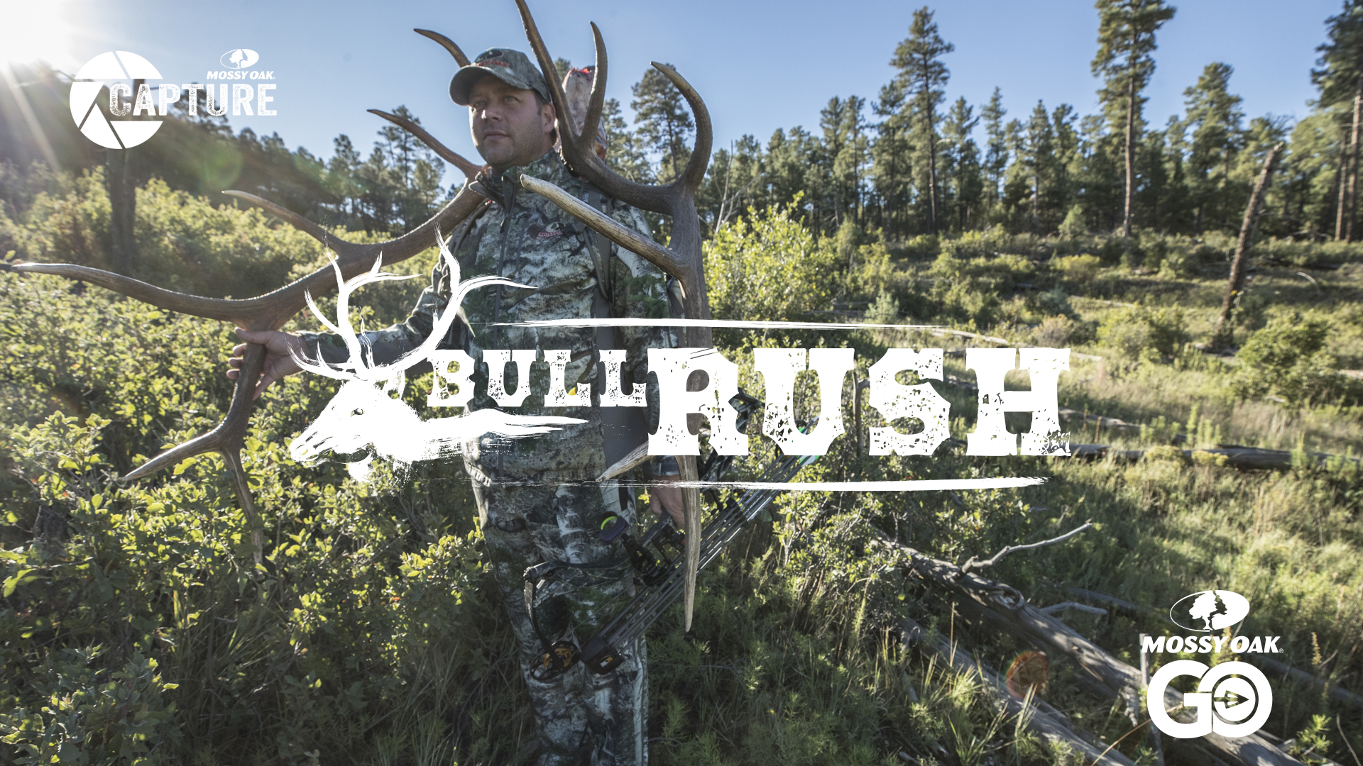 BULL RUSH Mossy Oak GO