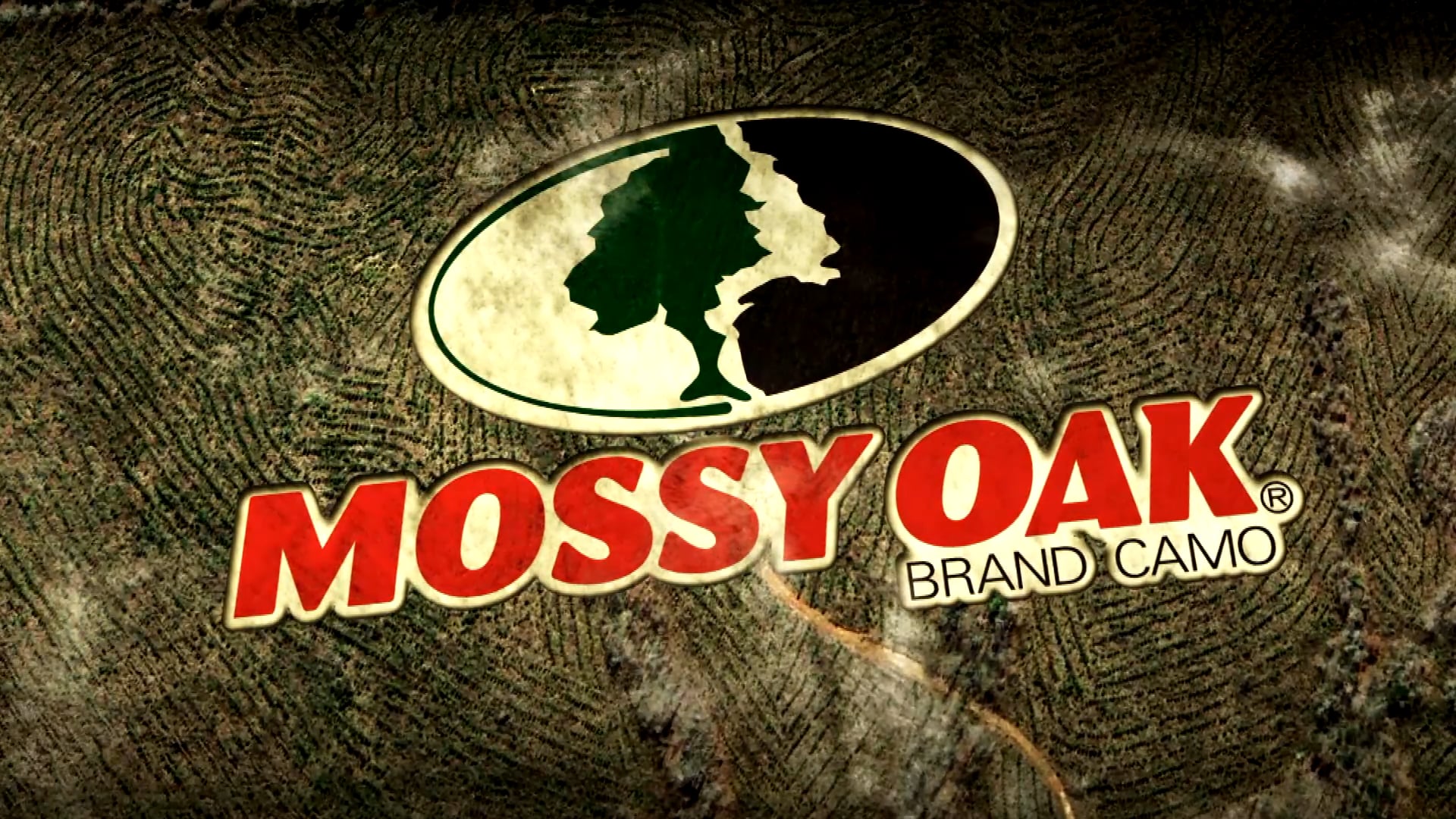 Comfort and Concealment • Tips for Successful Hunting