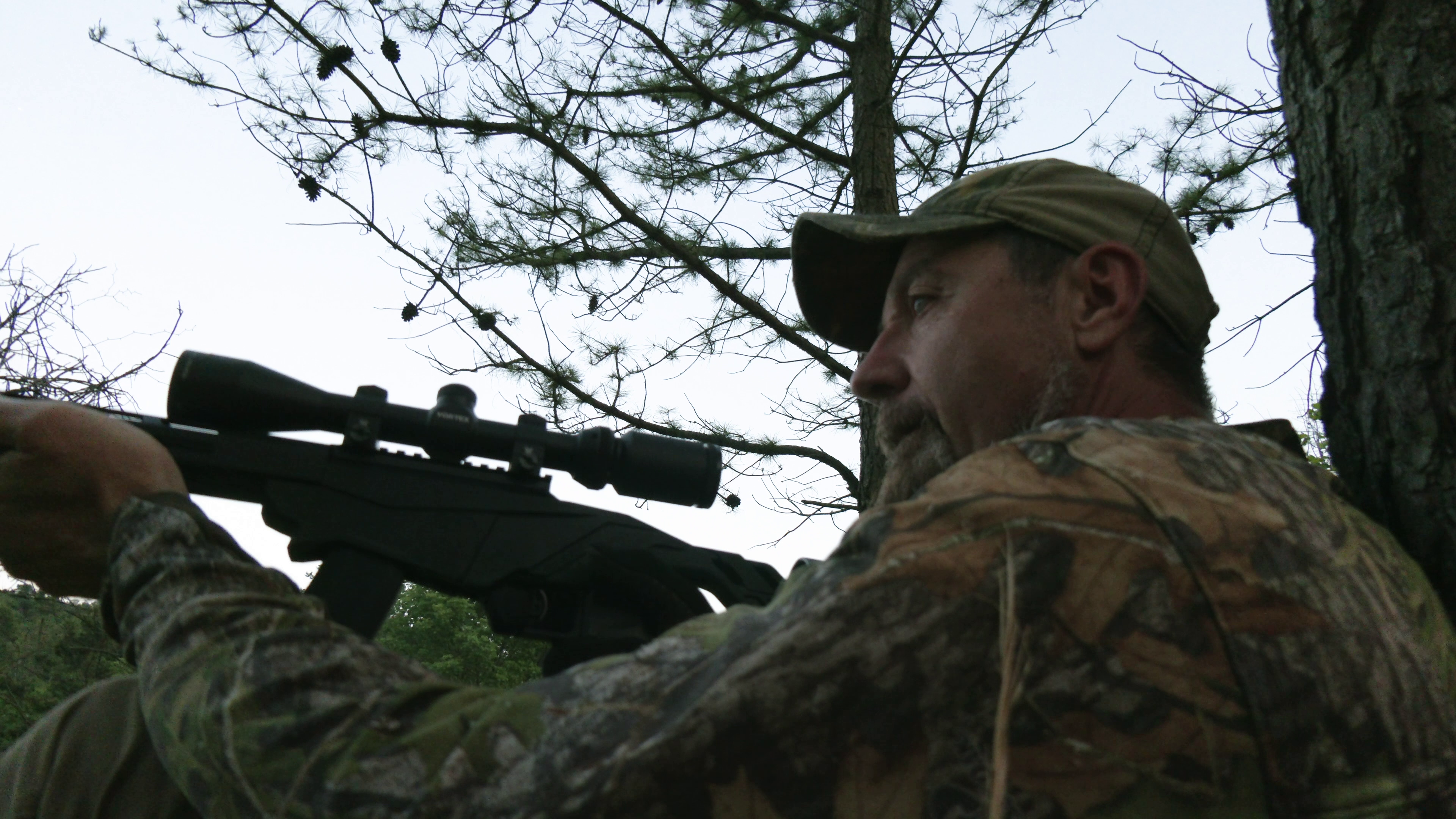 Three Dogs Running 2 • Tim Wells