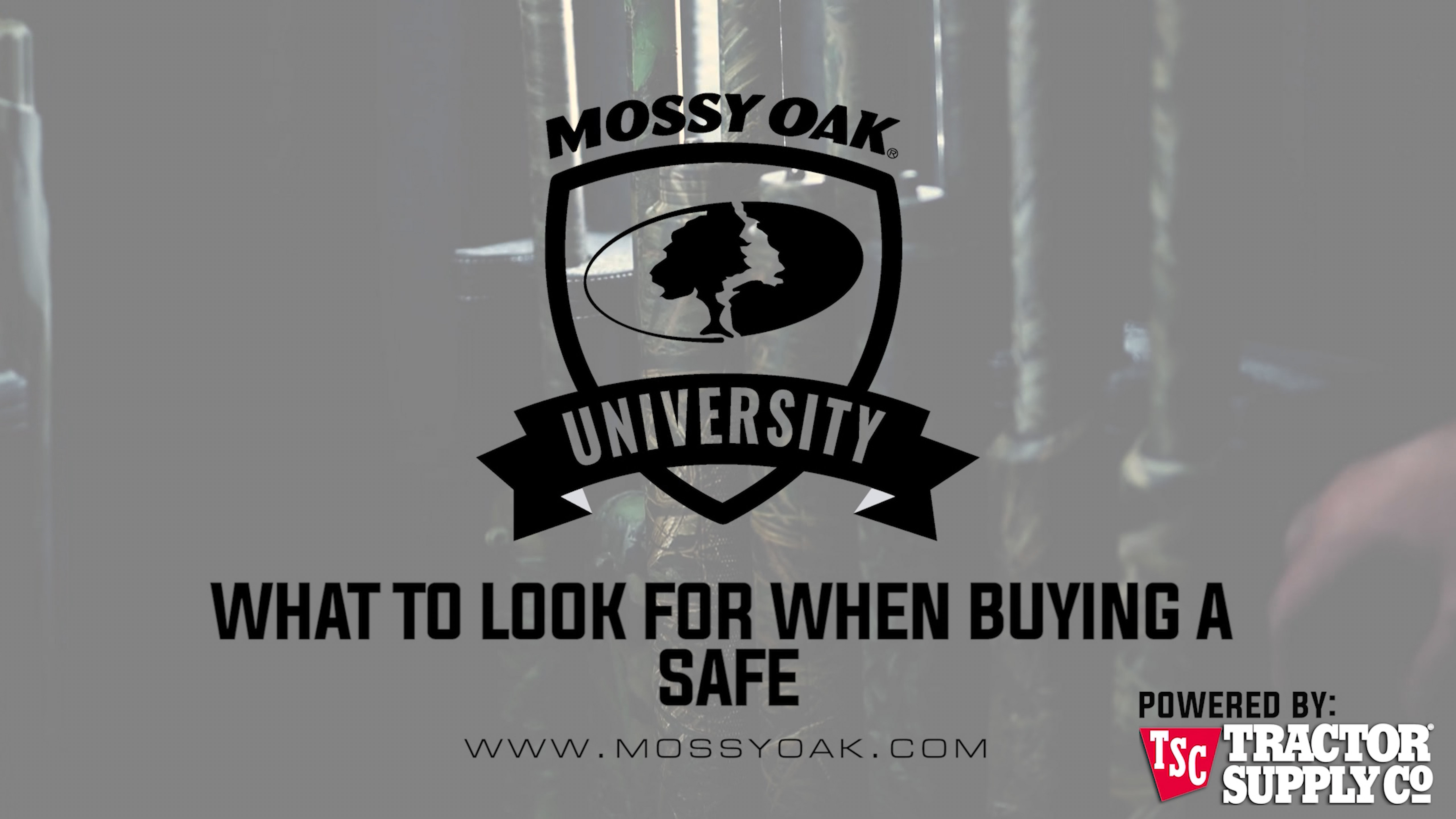 What to Look for When Buying a Gun Safe • MOU