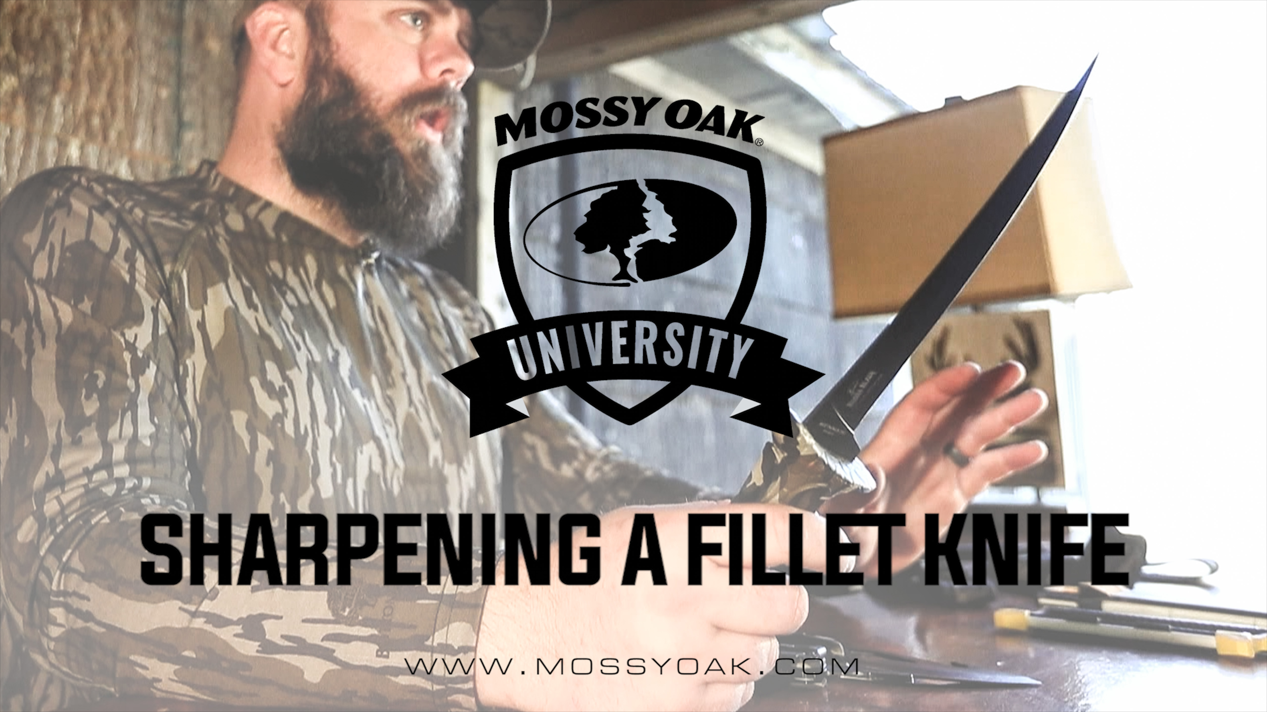 How To Sharpen A Fillet Knife