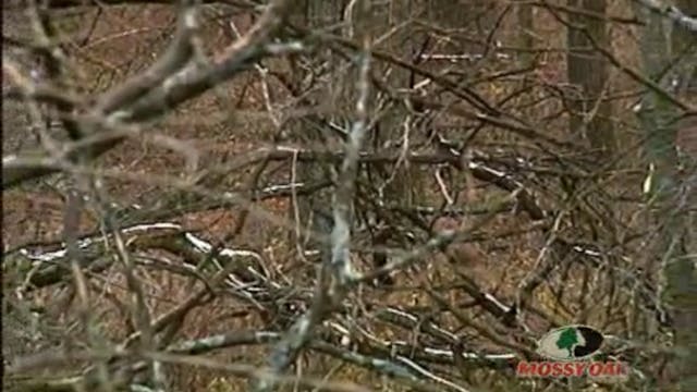 Two for Two • Whitetail Deer Hunt in ...